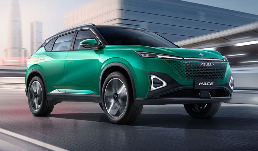 DF Website Mage Specs 2